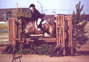 Pony Clubber at Brandon Fair