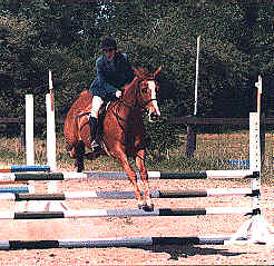 Show Jumping