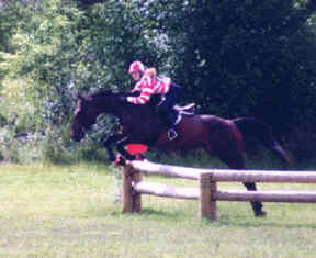 Endurance Picture