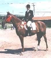 Jackie Allen and MayDay