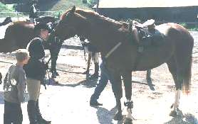 Keelin Flemming and The Highlander