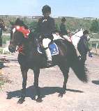Laura Shearer and Little Smokey