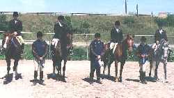 Opportunity C Team