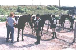 Amber Hancock and Fame at the tack check