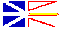 NF flag