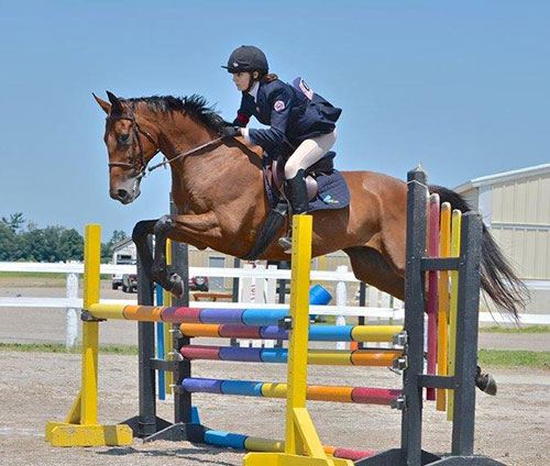 Show Jumping